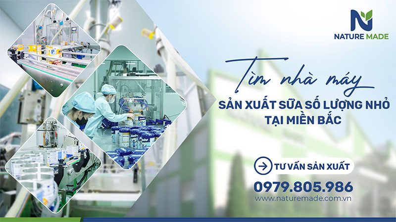 nhà máy sản xuất sữa số lượng nhỏ tại Miền Bắc